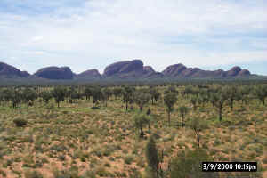 The Olgas