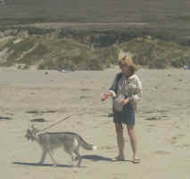 On the beach