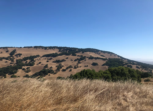 Mt. Burdell