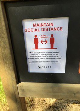 Social Distance