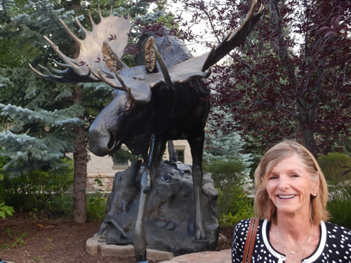Care and The Moose