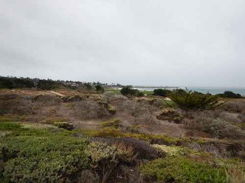 Spanish Bay