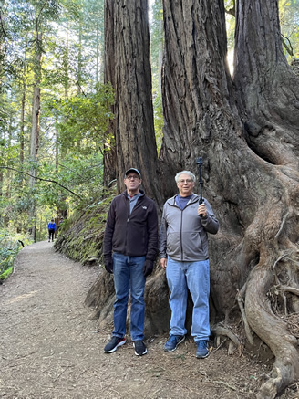 Muir Woods