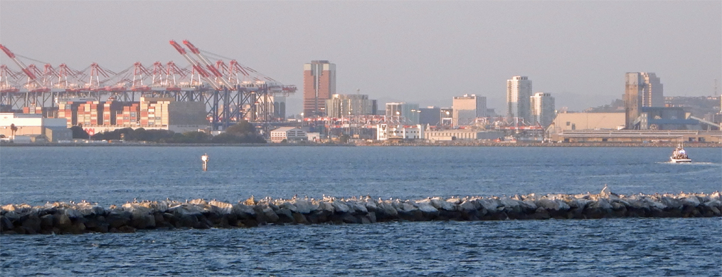 LA Harbor