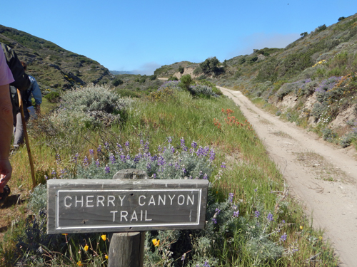Cherry Canyon Trail
