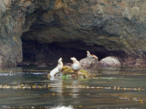 Anacapa Island
