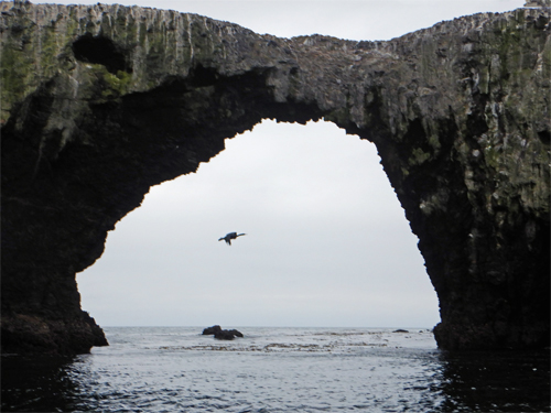 Anacapa Arch