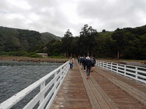 Santa Cruz Island