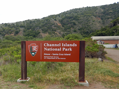 Santa Cruz Island
