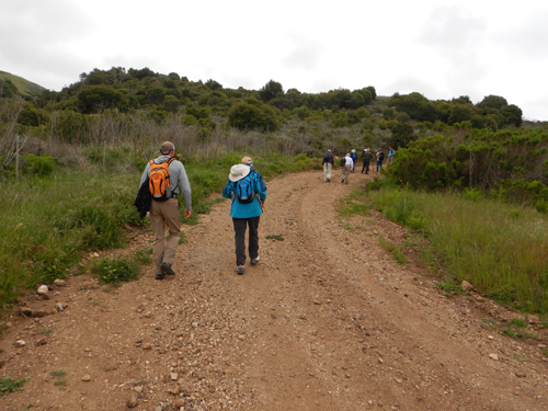 Santa Cruz Island