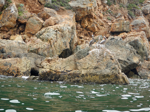 Santa Cruz Island