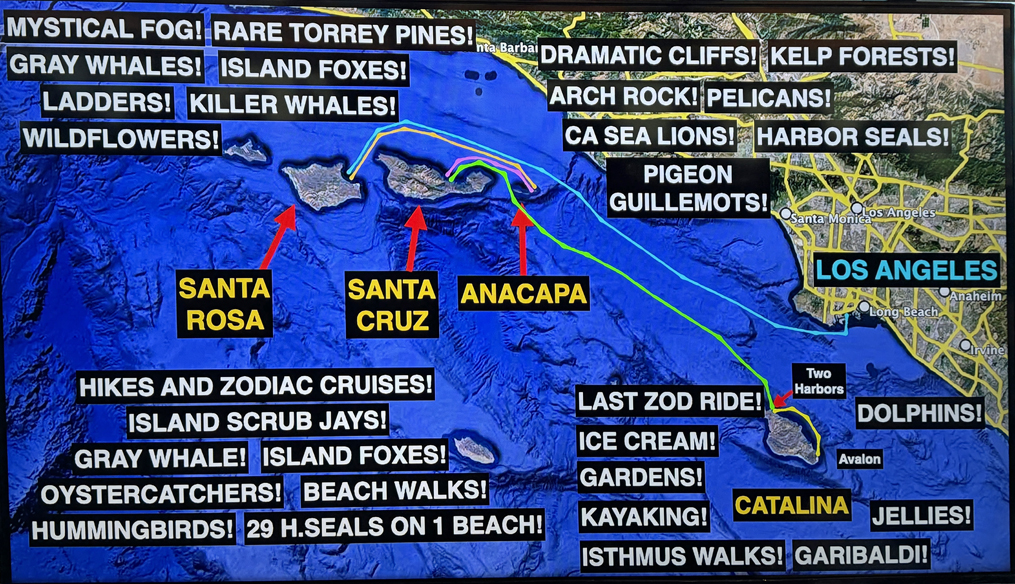 Trip Map