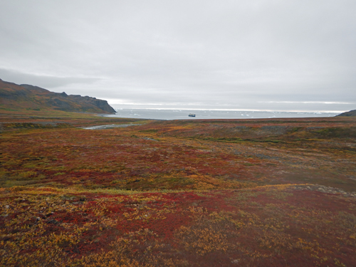 Disko Island