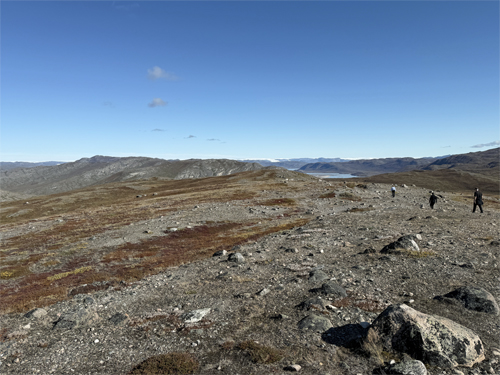 Tundra