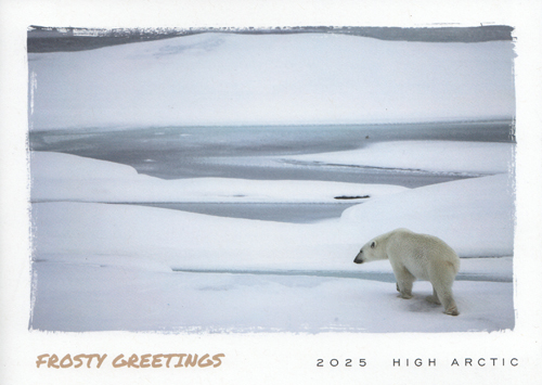 Holiday Card 1