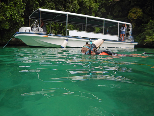 Snorkel Boat