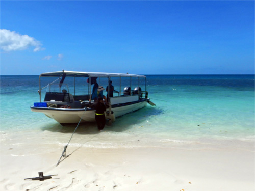 Snorkel Boat