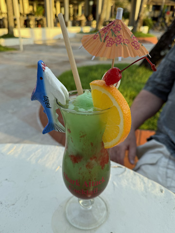Shark Bite