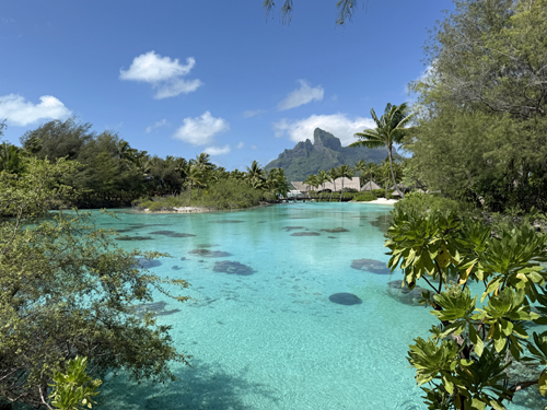 Four Seasons Bora Bora - Snorkeling Lagoon