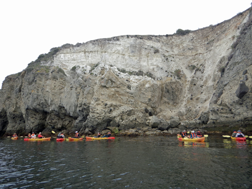 Catalina Kayaking