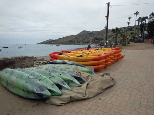Catalina Kayaks