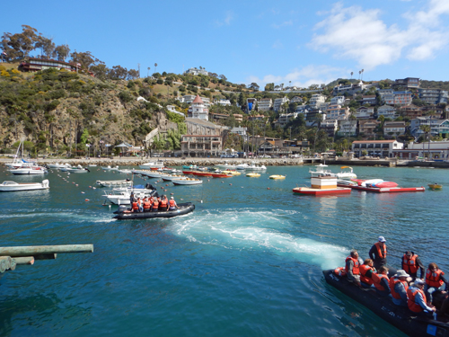 Avalon Harbor