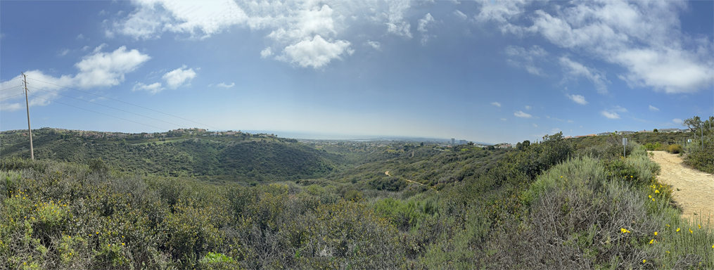 Buck Gully Pano