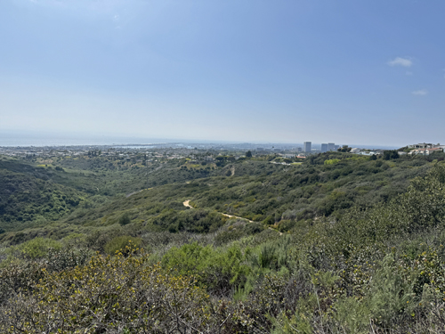 Corona Del Mar from Buck Gully