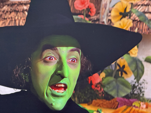 Bad Witch