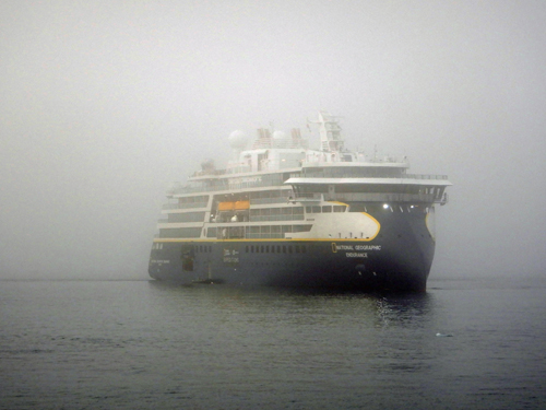Foggy Endurance