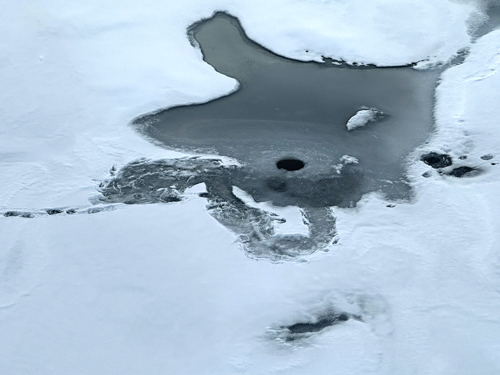 Seal Hole