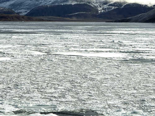 Pack Ice