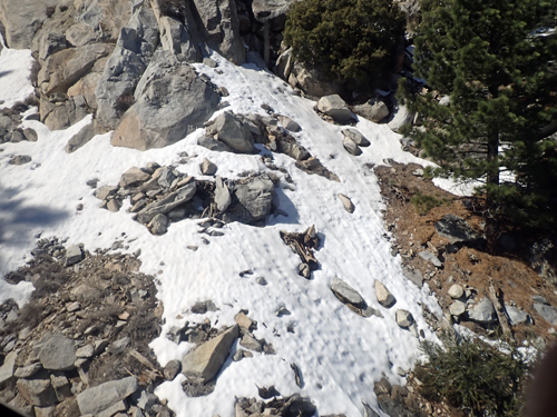 Snow Patch