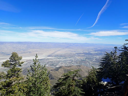 Desert view