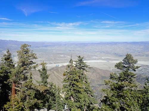 Desert view