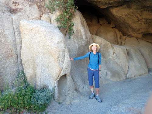 Care @ Joshua Tree